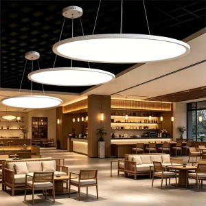 Modern LED Linear Hanging Lamp Ceiling Lighting Black Circle Chandelier Ring Pendant White Metal Shade Durable Pendant Light