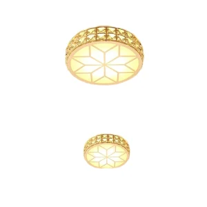 Modern Luxury Iron LED Ceiling Light Fixture Surface Mounted Dimmable 30W Acrylic IP33 Ra90 50000 Hours Corridor Balcony
