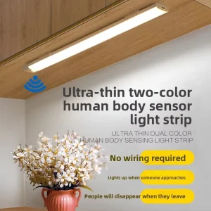Modern Minimalist Cabinet Light Strip LED Wardrobe Wine Cabinet Lighting Human sensing Corridor Kitchen Light bar Rechargeable