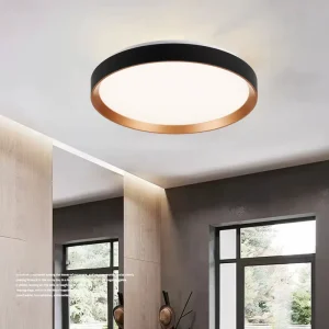 Modern Minimalist Iron Acrylic Round LED Ceiling Lamp Indoor Dimmable Ceiling Light Fixtures for Bedroom Study
