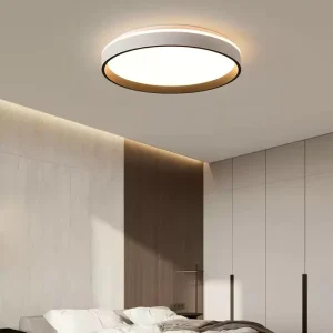 Modern Minimalist Round 3 Color Dimmable LED Ceiling Light Injection Molding Living Room Bedroom Ceiling Lamp