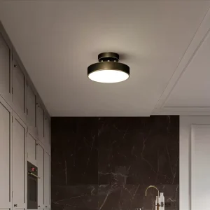 Modern Round Brass and Acrylic LED Touch Control Ceiling Light for Entrance Hall Foyer Balcony Hallway with IP65 Rating