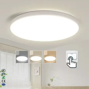 Modern Round Led Ceiling Light Fixture for Bedroom Lamp Ultra Thin Home Ceiling Lights for Hallway Living Room Ceiling Lights