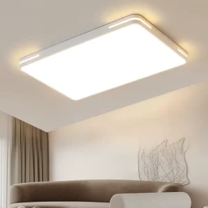 Modern Simple Atmospheric LED Ceiling Light with Acrylic Cover Iron Base for Living Room Bedroom Rectangular Hall Dining Room