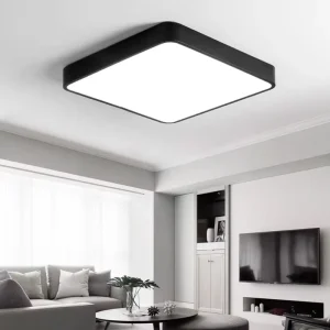 Modern Square LED Ceiling Lights with Metal and Acrylic Construction for Living Room Kitchen Bathroom Hallway AC Powered