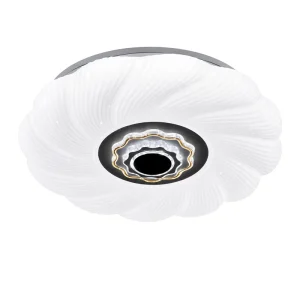 Modern Starry Sky LED Ceiling Light Acrylic Spiral Design Flush Mount Lamp Remote Control 220V for Living Room Bedroom Hotel