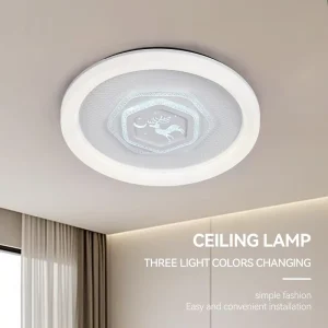 Modern Surface Ceiling Lamps Indoor Home Decor Decorative Acrylic AC220V 3 Colors Panel Ceiling Light LED Bedroom Ceiling Lights