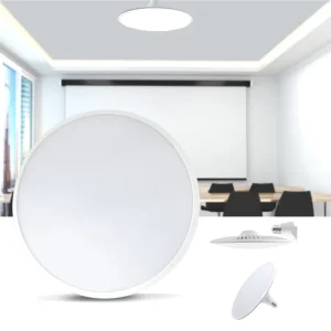 Modern Surface Mounted Ceiling Lamp Fixtures Remote Control Lighting Home LED Ceiling Light for Living Room Bedroom