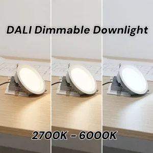 Mounted Ceiling Ultra Slim Led Downlight Black White Color Glare Dali Dimmable Recessed Led Down Light for Hotel Commercial