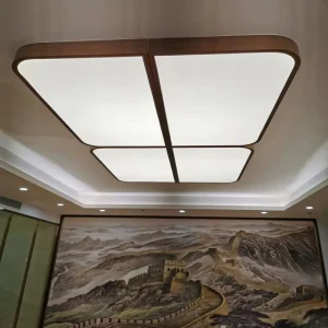 Near Me OEM Factories Drop Ceilings LED Ceiling Can Lights Stretch Ceiling