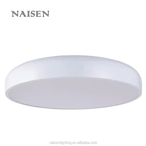 New Design Bedroom Modern Acrylic Ceiling Lights for Living Room LED Ceiling Lamps ETL