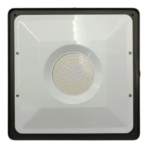 New Design Factory Warehouse 50W 120W 150W Custom Outdoor LED Die Cast Aluminum 40W 60W 80W Canopy Light 100W Garage Gas Station