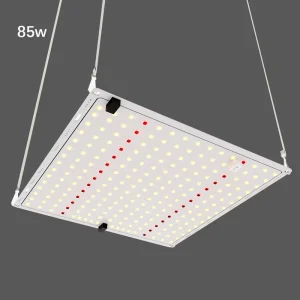 New Design Indoor Plant Full Spectrum 281B 3000K Aluminum Alloy LED Grow Light Board IP65 Rated 85W Dimmable Bloom Light
