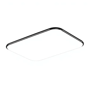 New Iron Ceiling Lamp Rectangular Simple Modern Design Surface Mounted LED for Living Room Hall Master Bedroom