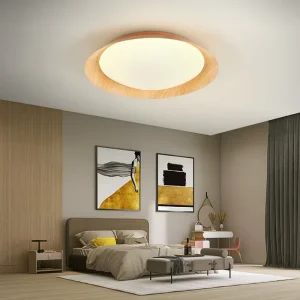 New Type of Surface Mounted Circular Modern LED Ceiling Light Villa Hotel Ceiling Decoration Ceiling Light