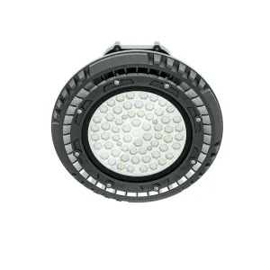 Newly Designed Atex Led Explosion Proof Round High Bay Fixture 180LM W IP66 WF2 Gas Station Hazardous Location LED Lights