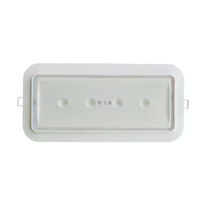 Non maintained LED Emergency Light LED Bulkhead Light with Rechargeable Battery Surface and Recessed Mount Bloc Secours LED