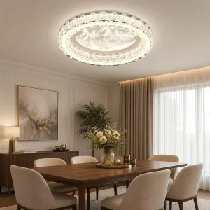 Nordic Decorative LED Lighting Creative Halo Shape Ceiling Lamp Unique Artistic Motif Surface Mount for New House Apartment
