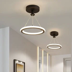 Nordic Modern Metal Acrylic Pendant Light Surface Mounted Design for Living Room Bedroom Aisle Decoration