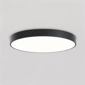 OEM Architectural Circular LED Fixture With Custom Finish Options for Hospitality Lighting