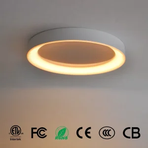 OEM Custom 12 Inch 20W Flush Ceiling Light 2700K-6000K with Night Lights Dimmable Prefer for Kitchen Living Room Bedroom