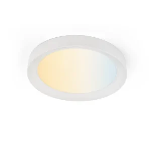 OEM Custom 12 Inch 20W Flush Panel Light 2700K 6000K with Night Lights Dimmable Prefer for Kitchen Living Room Bedroom