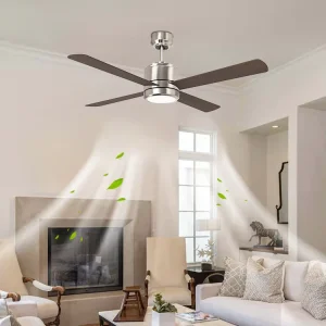 OEM Custom Smart Stylish Home Ceiling Lamp With Fan
