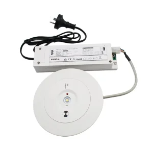 OEM Emergency LED Ceiling Light 3W 4W 3 Hours Duration Meets D63 D80 Standards