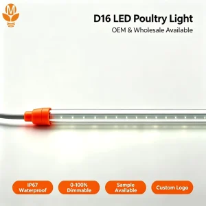 OEM LED Poultry Tube Light Manufacturer 48V IP67 Waterproof Flicker Free Dimmable 0.9m 2.4m Linear Lighting Fixture