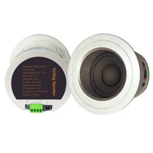 OEM ODM 40W Full Aluminum Bluetooth Ceiling Speaker with Passive Radiator for Hotel Villa Office BGM