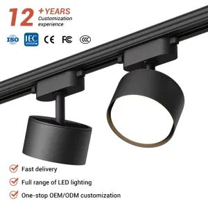 OEM ODM Commercial Lighting Restaurant Store Home Black White Iron GX53 10W Ceiling Rail System LED Track Light