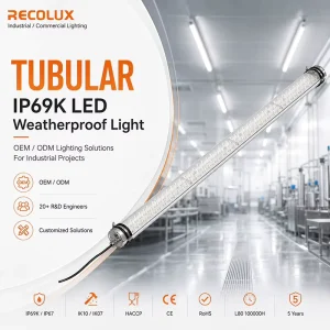 OEM ODM Tubular LED Tri-Proof Light Custom IP69K Weatherproof Luminaire for Projects Lighting