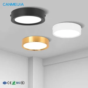 Office Store Home Hotel White Black Iron 5W 10W 15W 25W Round Surface Mounted LED Downlight for Kitchen Living Room