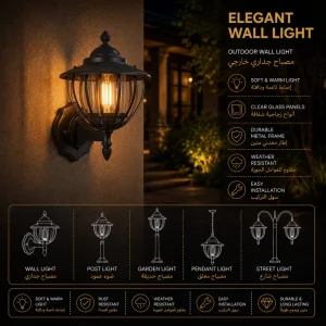 Outdoor Birdcage Wall Lantern with Clear Glass for Villa Entrance Lighting