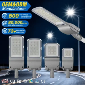 Outdoor Road Lighting IP66 Waterproof Aluminum 50W 100W 150W 200W 300W LED Engineering Streetlight