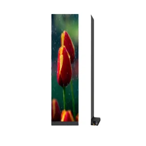 P10 10mm LED Holographic Flexible Transparent Screen Animation Text Agency Support for Elevator Shopping Mall Glass Window
