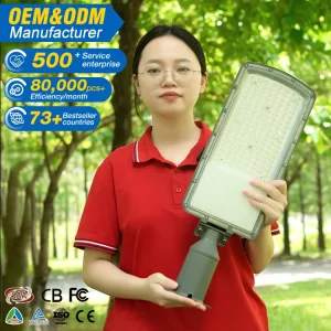 Parking Lot Road Lighting Outdoor IP66 Waterproof Aluminum SMD 50W 100W 150W 200W LED Street Lamp