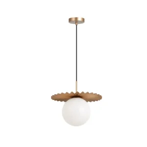 Pendant Light Ceiling Lamp Pendant Lamp