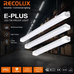 Phase Switchable 40W LED Tri Proof Light IP65 19500LM Dimmable CRI 80-90 165lm/W Industrial Lighting 5-Year Warranty for