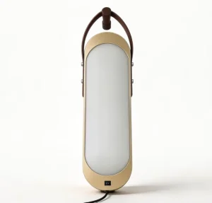 Pin Up Sconce Wall Hung Plug In Light with a Decorative Vinyl Strap and Anchors