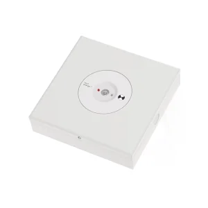 Premium Quality D80 Surface Mounted Emergency Light 3W 475lm 3H LiFePO4 CE SAA UKCA RoHS AS2293 for Commercial Use