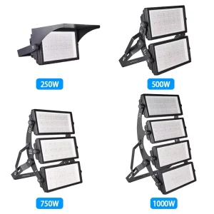 Professional 750W 500W 250W LED Outdoor Flood Light IP66 Waterproof with Aluminum Housing for Garden and Facade Lighting