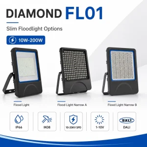 Professional LED Floodlight 200W Outdoor Lamp for Warehouse Building Sports Area Lighting