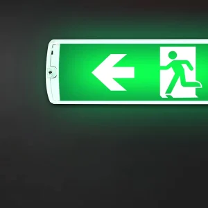 Professional Manufacturer 3 Hours Ni Cd SC3.6V 1.5Ah Battery Emergency Light with 1.3W Emergency Power and Sticker