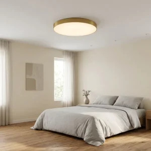 Professional Manufacturer 3000K-6500K PC 32W 48W AC 100-265V Ceiling Led Light Modern Ceiling Lamp Light