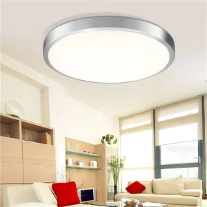 Professional Manufacturer Roof Bedroom Luxury Light Led Ceiling Lamp