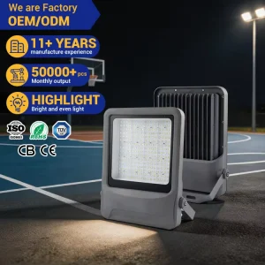 Project Use Outdoor Professional Floodlight CE ROHS IP65 Aluminum 30W 50W 100W 150W 200W 300W 400W 500W 600W LED Flood Light