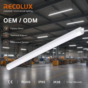 RECOLUX DALI2 LED Tri Proof Light IP65 IK08 Waterproof Luminaire for Industrial Lighting Projects