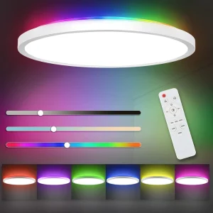 RGB LED Flush Mount Ceiling Light Dimmable Round Ceiling Lamp Wifi Smart Remote APP Control for Room Party Decorative