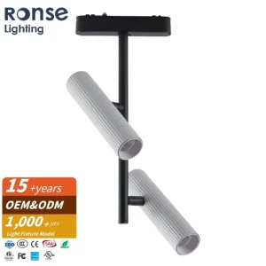 RONSE Ultra Thin Smart COB LED Lamp Zigbee Tuya Dimming 48V 2*12W Magnetic Track Spotlight with Remote Control